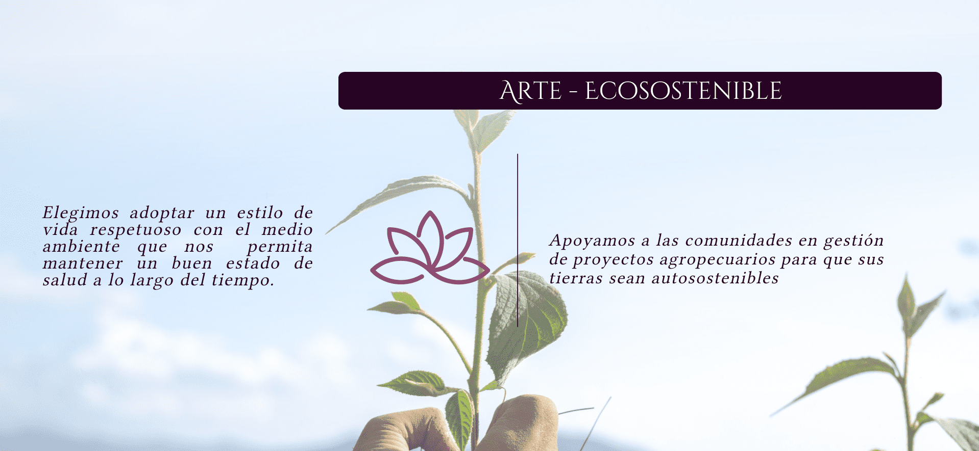 arte financiero